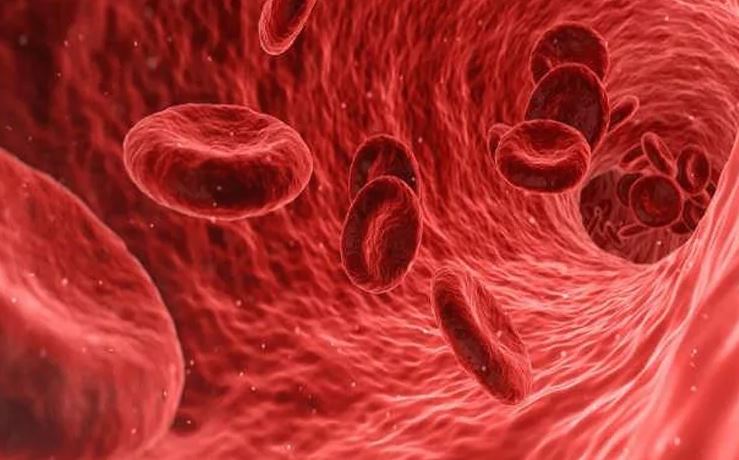 TITAN GEL! Bienestar Íntimo Masculino de tamaño y potencia con Extractos Naturales!⚡